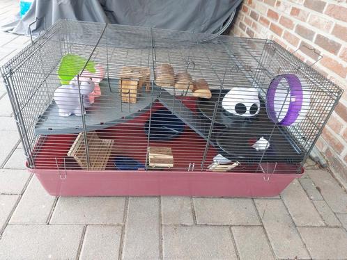 Hamsterkooi met toebehoren, Animaux & Accessoires, Rongeurs & Lapins | Cages & Clapiers, Utilisé, Cage, Enlèvement
