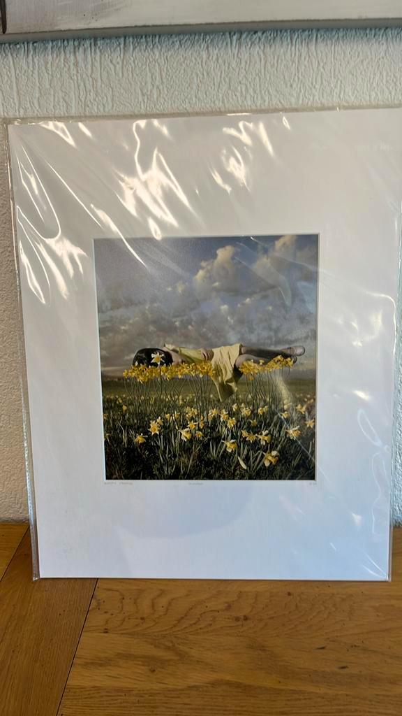 Photographie Alastair Magnaldo- yellowbud - Yellowkorner, Antiek en Kunst, Kunst | Tekeningen en Fotografie, Ophalen of Verzenden