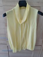 Top maat 38/40, Kleding | Dames, Topjes, Ophalen of Verzenden, Zo goed als nieuw, Maat 38/40 (M)