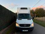 Mercedes-Benz Sprinter Bakwagen Frigo Laadklep 2013 55.000km, Autos, Euro 5, Achat, 4 portes, Entreprise