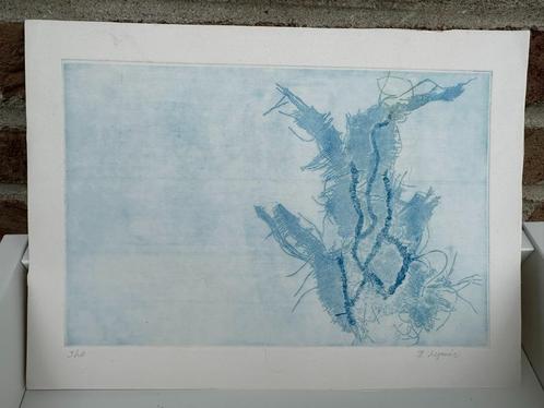 Ets Ingrid Lejeune - Gent, Antiek en Kunst, Kunst | Etsen en Gravures, Ophalen of Verzenden