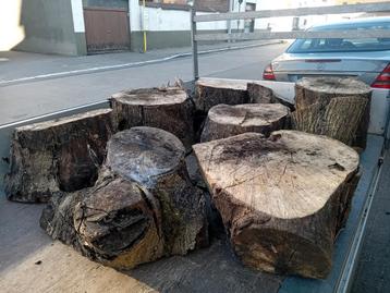 Brandhout beschikbaar voor biedingen