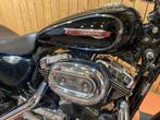 Harley-Davidson 1200 custom (bj 2010), Bedrijf, 1202 cc, Meer dan 35 kW, Overig