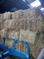 Tarwe stro, Zakelijke goederen, Landbouw | Veevoer, Ophalen