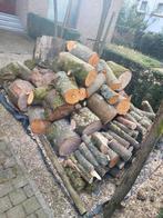 Brandhout Es, Tuin en Terras, Brandhout, Ophalen