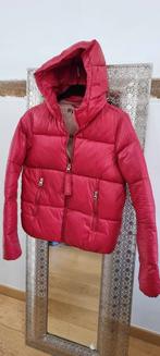 Doudoune Bershka XS, Ophalen of Verzenden, Zo goed als nieuw