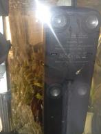 Aleneters mogen het nest verlaten