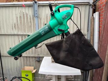 Bladzuiger/-blazer beschikbaar voor biedingen