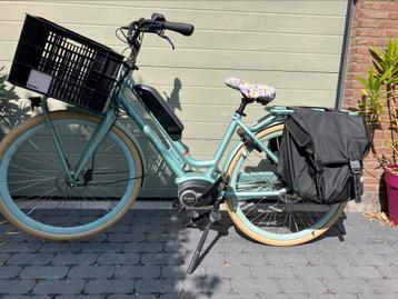 Batavus e quip beschikbaar voor biedingen