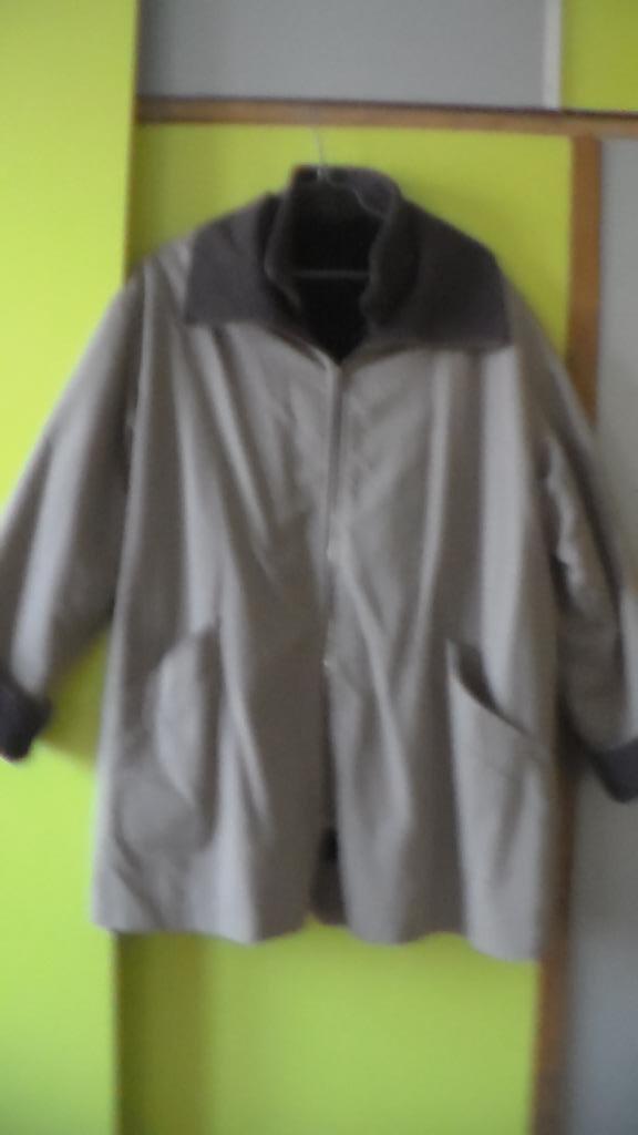 Veste Hiver, Kleding | Dames, Jassen | Winter, Zo goed als nieuw, Maat 42/44 (L), Beige, Ophalen of Verzenden