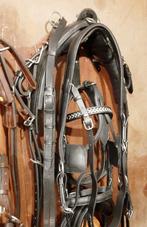 🔴NIEUW ZEER PROFESSIONEEL COB-MAAT 1 SP TUIG 450.E. 🔴, Dieren en Toebehoren, Paarden en Pony's | Hoofdstellen en Tuigage, Ophalen of Verzenden