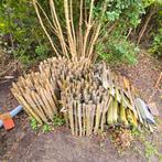 Lage tuinafsluiting, Tuin en Terras, Ophalen, Met poort, Gebruikt, Spijlenhekwerk