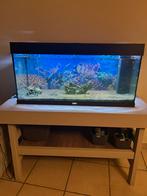 180L Juwel aquarium, Dieren en Toebehoren, Ophalen
