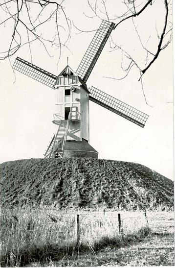 Harelbeke - Koutermolen beschikbaar voor biedingen