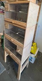 3 kweekkooien met blok, Dieren en Toebehoren, Ophalen of Verzenden, Zo goed als nieuw
