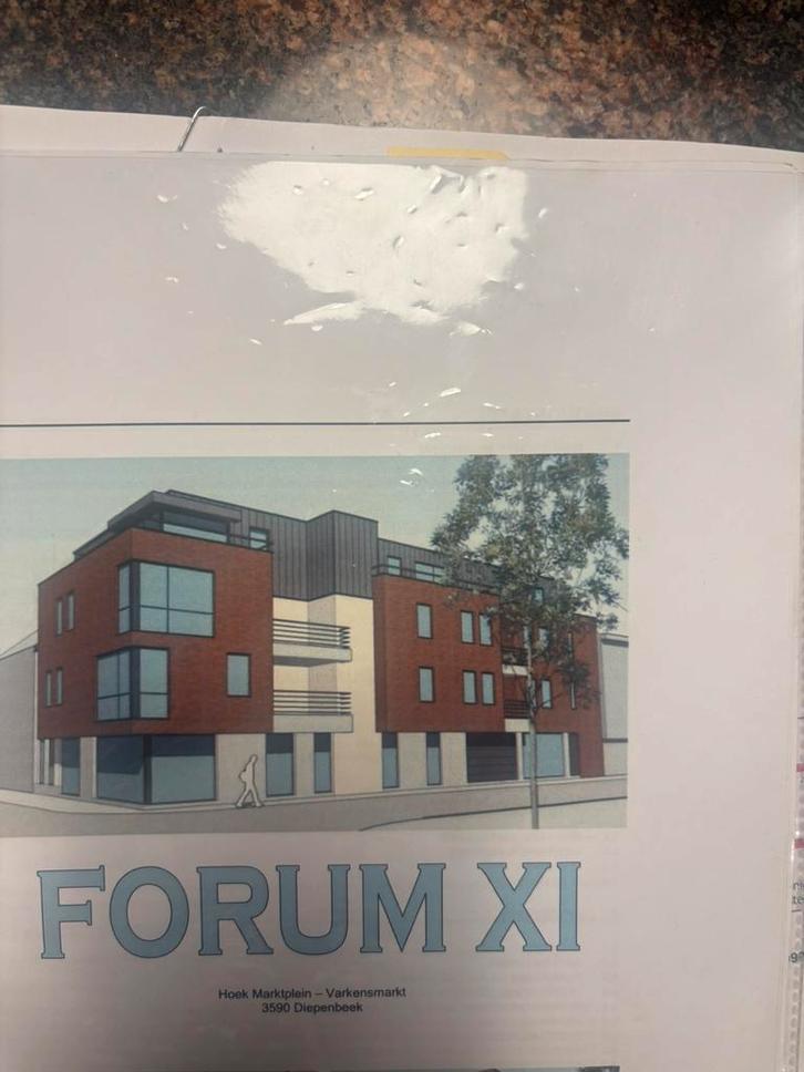 Mooi appartement te huur Diepenbeek, Immo, Appartementen en Studio's te huur, Provincie Limburg, 20 tot 35 m²