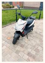 Gts enzo naked, Neuf, Classe B (45 km/h), Enlèvement, 50 cm³