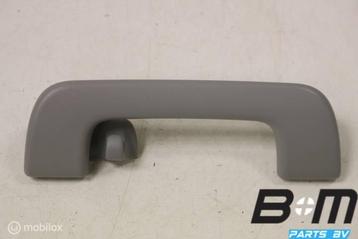 Handgreep in hemel RA (bijrijderskant) Audi Q5 80A beschikbaar voor biedingen