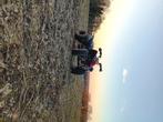 quad, Motoren