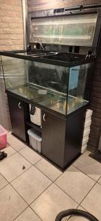 Aquarium 230l Cayman 110 + binnenfilter + meubel + led, Dieren en Toebehoren, Ophalen, Gebruikt, Leeg aquarium