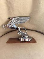 Bouchon de radiateur, Enlèvement, Comme neuf