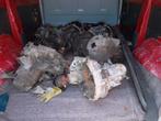 Boîte de vitesses Renault 5 GT Turbo, Auto-onderdelen, Ophalen, Gebruikt, Renault