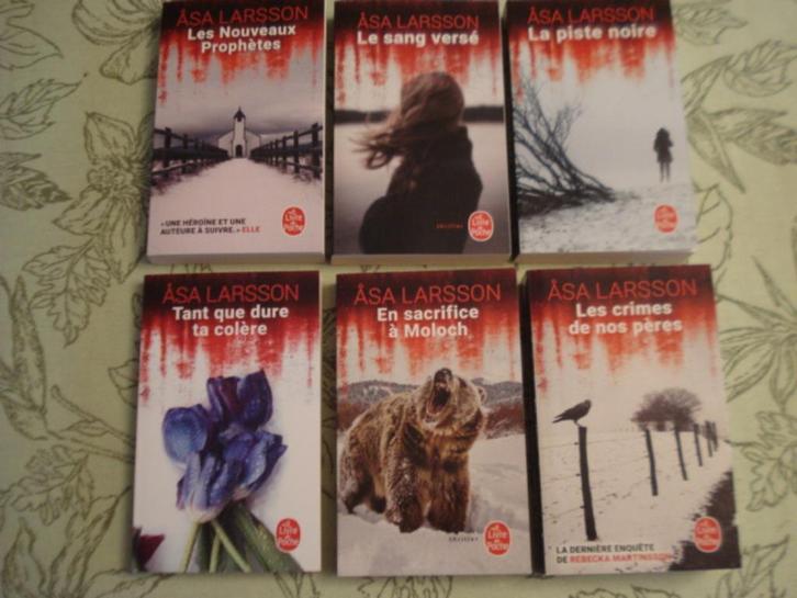 Les enquêtes de Rebecca Martinsson / Asa Larsson, Boeken, Thrillers, Zo goed als nieuw, België, Ophalen of Verzenden