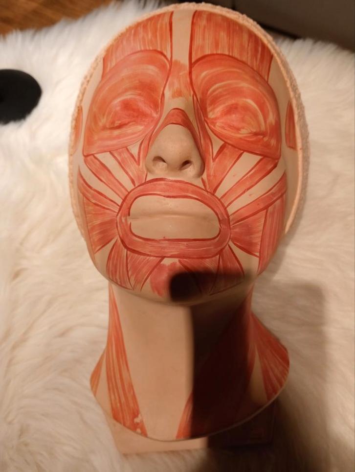 Visage d'esthéticienne, Articles professionnels, Articles professionnels Autre, Enlèvement ou Envoi