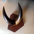 Vintage decoratie – Dubbele hoorn op houten plank, Ophalen