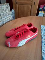 Basket Puma taille 43, Autres couleurs, Enlèvement, PUMA, Porté