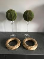 tulpvazen met isomobol gevriesdroogde bladeren - nieuw, Ophalen of Verzenden