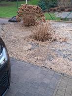 Steentjes te gebruiken als bodembedekker ofvoor hondentoilet, Tuin en Terras, Ophalen