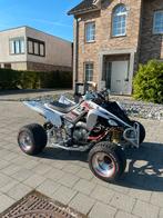 Raptor 700r, Motoren, Quads en Trikes