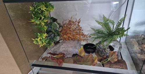 Terrarium, Dieren en Toebehoren, Reptielen en Amfibieën | Toebehoren, Zo goed als nieuw, Terrarium of Paludarium, Ophalen