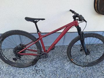 Canyon Stoic 3 - Hardtail mountainbike - maat M, Autres marques, 49 à 53 cm, Comme neuf, Enlèvement