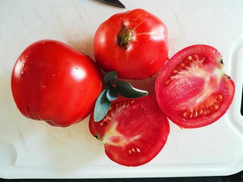 Tomate King of Giants - 5 graines, Jardin & Terrasse, Bulbes & Semences, Graine, Printemps, Enlèvement ou Envoi