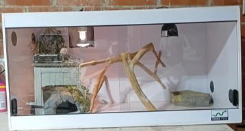 Pvc terrarium te koop  beschikbaar voor biedingen