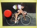 wielerfoto molteni  eddy merckx, Zo goed als nieuw, Verzenden