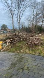 Hout, takken, Tuin en Terras, Brandhout, Ophalen of Verzenden