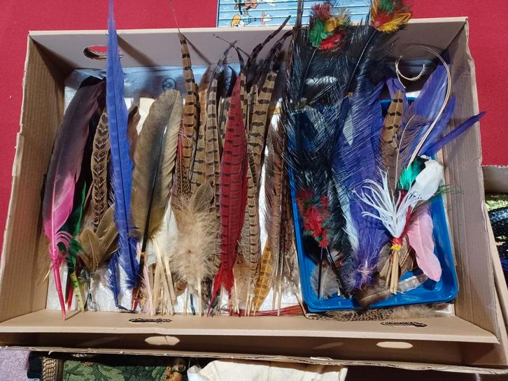 Veren voor het samenstellen van hoeden, kostuums. Onberispel, Hobby en Vrije tijd, Kostuums, Theaterbenodigdheden en LARP, Nieuw