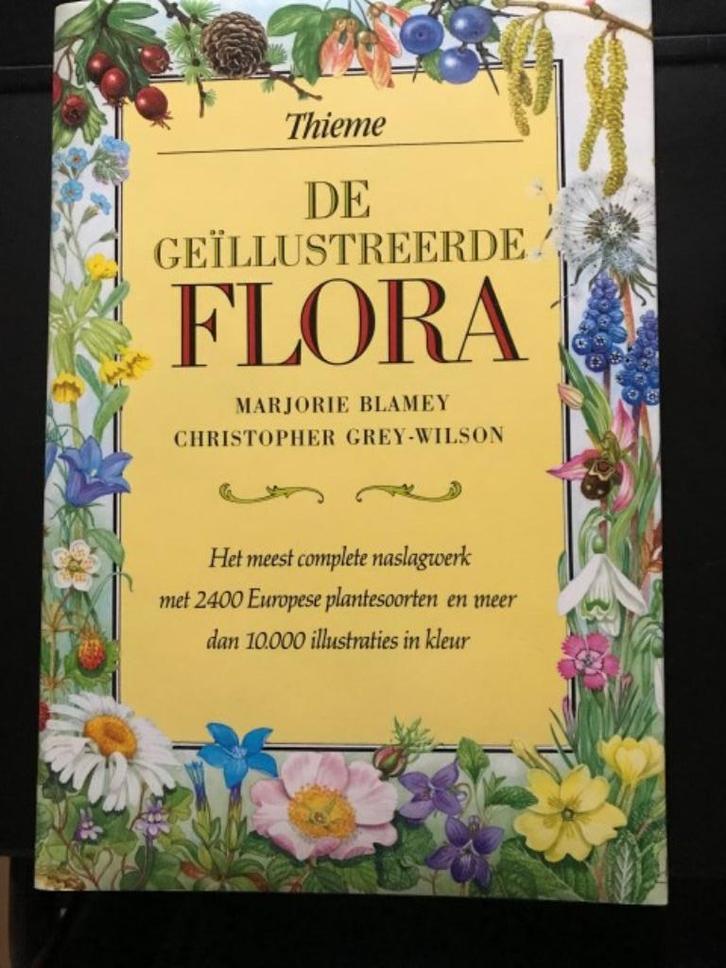 De geïllustreerde flora  -  M. Blamey; C. Grey-Wilson, Boeken, Natuur, Zo goed als nieuw, Bloemen, Planten en Bomen, Ophalen of Verzenden