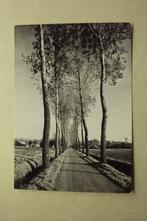 45990 - RUDDERVOORDE - LANDELIJKEWEG - SIJSLO, Verzamelen, Verzenden