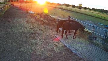 stelcon 1 bij 1 of 2 bij 1 beschikbaar voor biedingen