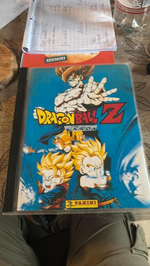 Classeur Panini Dragon Ball Z (Incomplet) - Édition Belge, Hobby & Loisirs créatifs, Jeux de cartes à collectionner | Autre, Utilisé