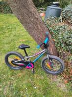 Specialised Riprock 17", Fietsen en Brommers, Ophalen, Gebruikt