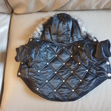 manteau noir matelassée avec strass neuf pour chien beschikbaar voor biedingen