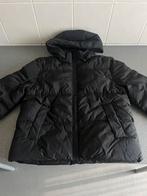 Zwarte gewatteerde jas - maat 164, Ophalen of Verzenden, H&M, Meisje, Jas