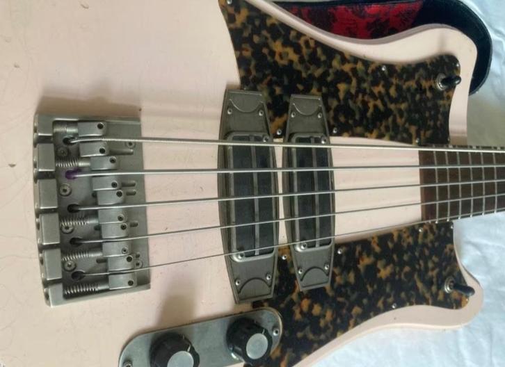 Fidelity 5 string bass guitar, Muziek en Instrumenten, Snaarinstrumenten | Gitaren | Bas, Zo goed als nieuw, Elektrisch, 5-snarig