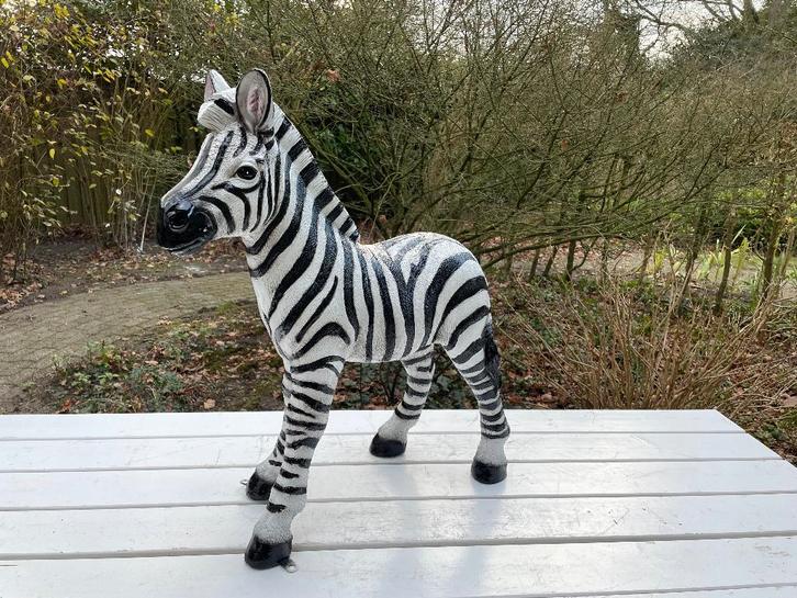 Beeld zebra, tuin, zwembad, vijver, woonkamer 70cm, Tuin en Terras, Tuinbeelden, Nieuw, Dierenbeeld, Kunststof, Ophalen