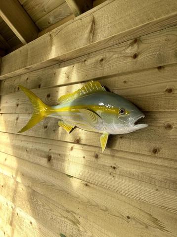 Yellowtail Snapper / Geelstaart Snapper - Fiberglass replica beschikbaar voor biedingen